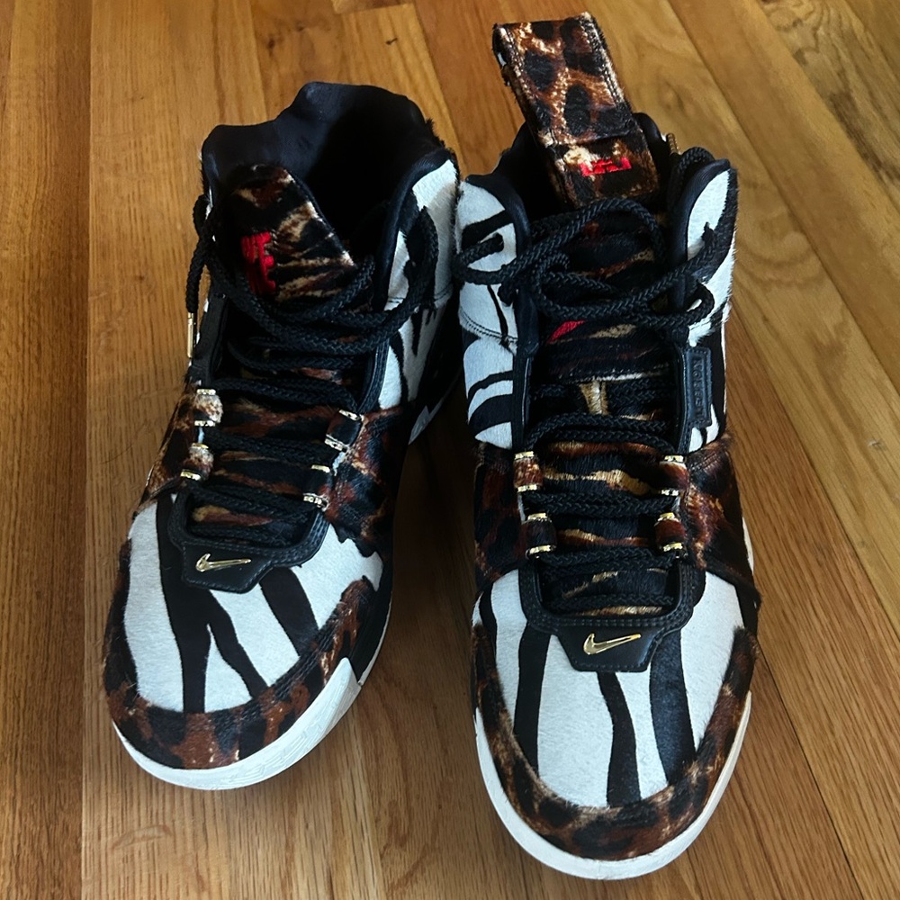 LeBron 2 Nike size 12 beast